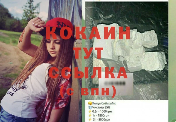 прущие грибы Новокубанск