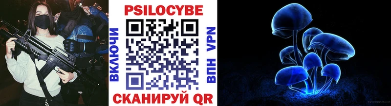 Галлюциногенные грибы Psilocybe  Балаково 