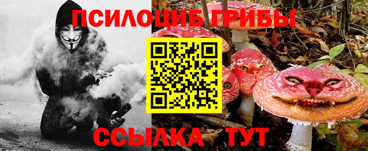Псилоцибиновые грибы Magic Shrooms Балаково