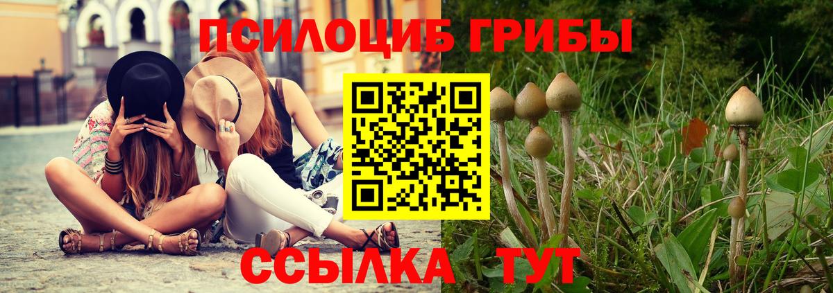 где купить наркоту  Вход с VPN  Балаково  Галлюциногенные грибы Magic Shrooms 